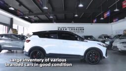 Geely Coolray 2025 L 1.5TD DCT Star Edition