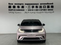 BYD Dolphin 2023 Fashion Edition