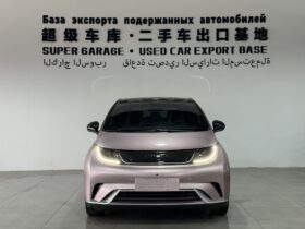 BYD Dolphin 2023 Fashion Edition