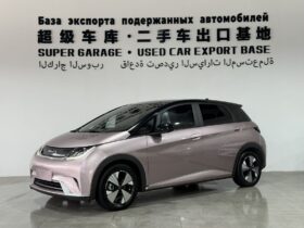 BYD Dolphin 2023 Fashion Edition