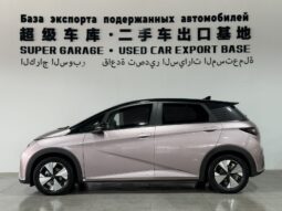 BYD Dolphin 2023 Fashion Edition