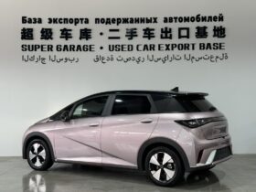 BYD Dolphin 2023 Fashion Edition