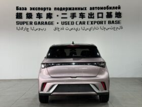 BYD Dolphin 2023 Fashion Edition