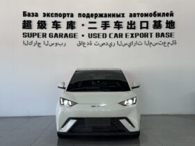 BYD Seagull 2023 Flying Edition‌