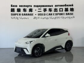 BYD Seagull 2023 Flying Edition‌