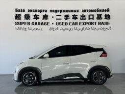BYD Seagull 2023 Flying Edition‌