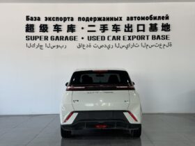 BYD Seagull 2023 Flying Edition‌