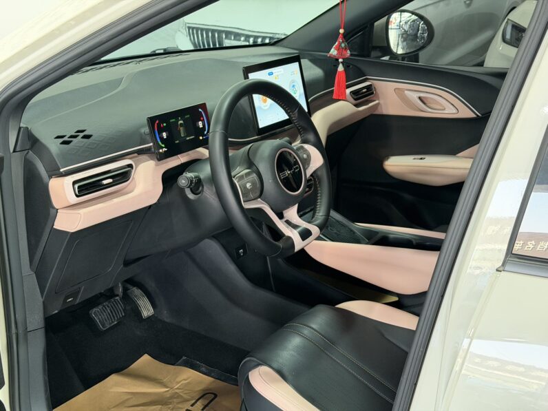 BYD Seagull 2023 Flying Edition‌