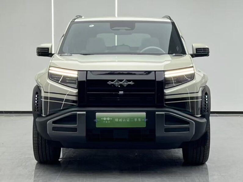 Formula Leopard Titanium 3 501km EV
