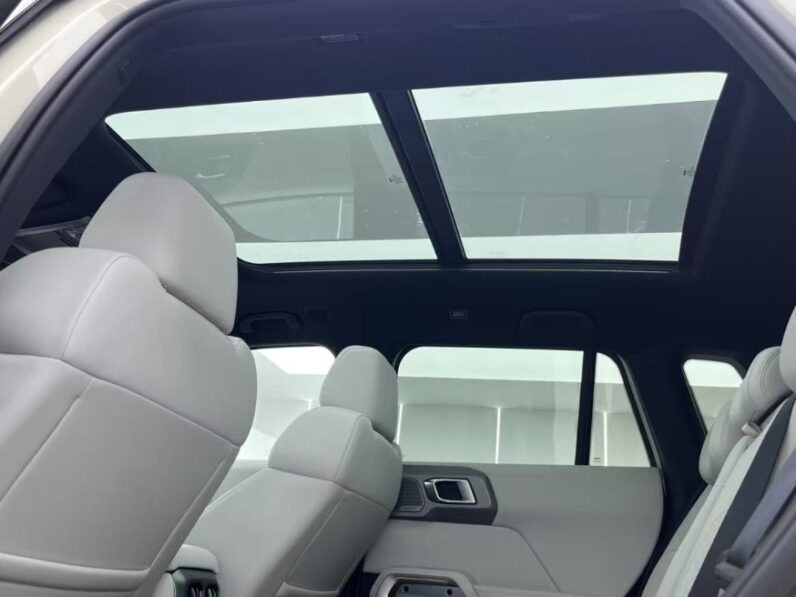 Formula Leopard Titanium 3 501km EV