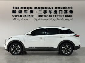 NETA U 2022 Smart 400 Pro‌